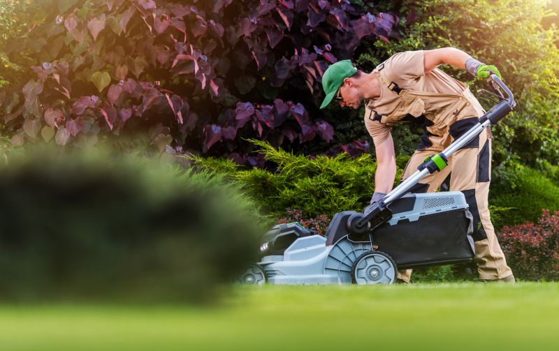 Local Lawn Installation pros at work