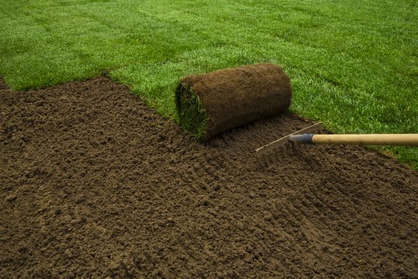 Lawn Installation - Lawn Installation Bloomington, Illinois