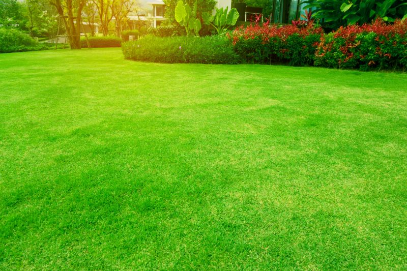 Lawn Installation