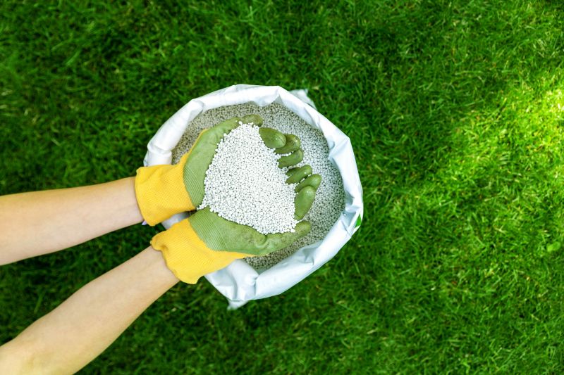 Healthy Lawn Growth